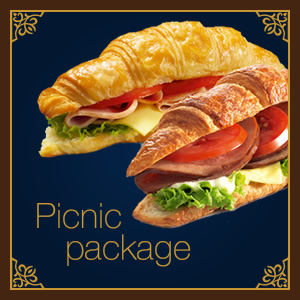 Picnic package